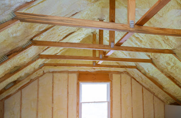 Best Insulation Removal  in Annandale, VA