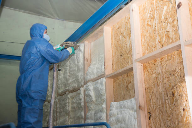 Best Insulation for New Construction  in Annandale, VA